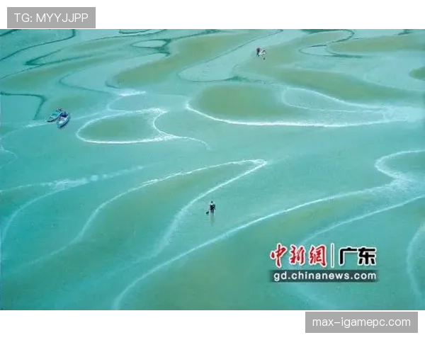 富里睡醒发现自家马场又多了一匹新马，账单比拳赛还长